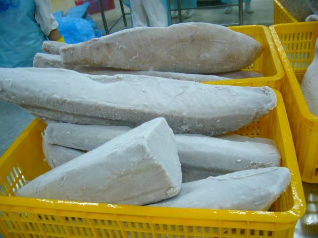 Assessing the Quality of Frozen Tuna Products